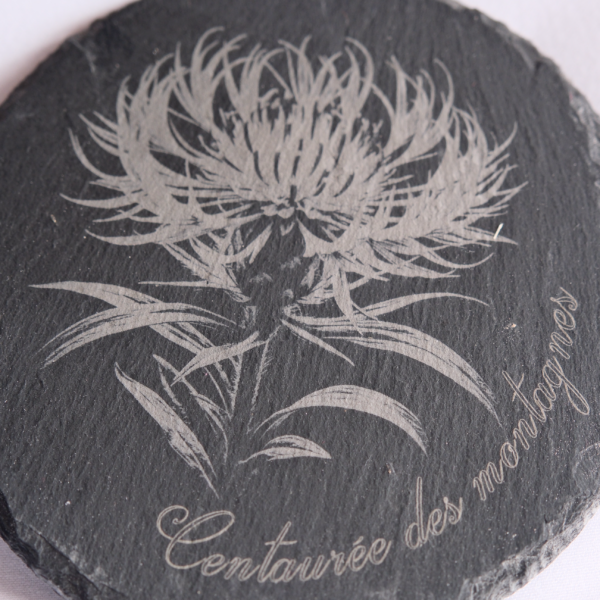 Dessous de verre - Centaure des montagnes – Image 2