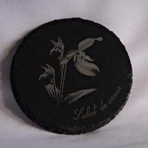 Dessous de verre – Sabot de vénus