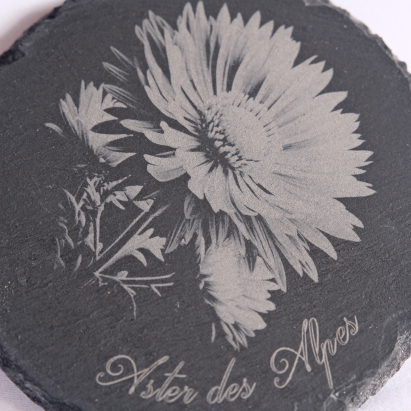 Dessous de verre - Aster des Alpes – Image 3