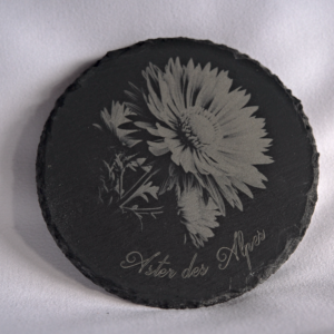 Dessous de verre – Aster des Alpes