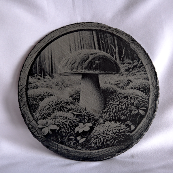 Dessous de plat - Bolet