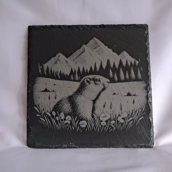 Dessous de plat - Marmotte