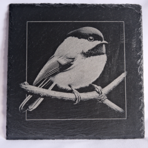 Dessous de plat – Mésange