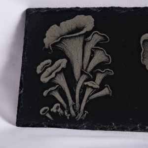 Dessous de plat – Champignons