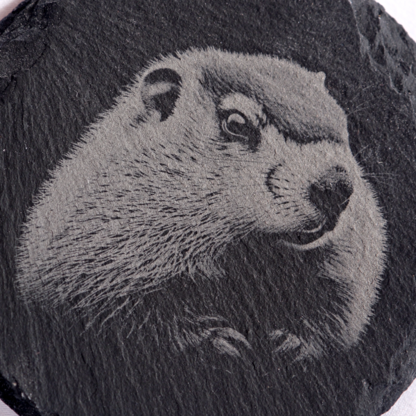 Dessous de verre - Marmotte – Image 3