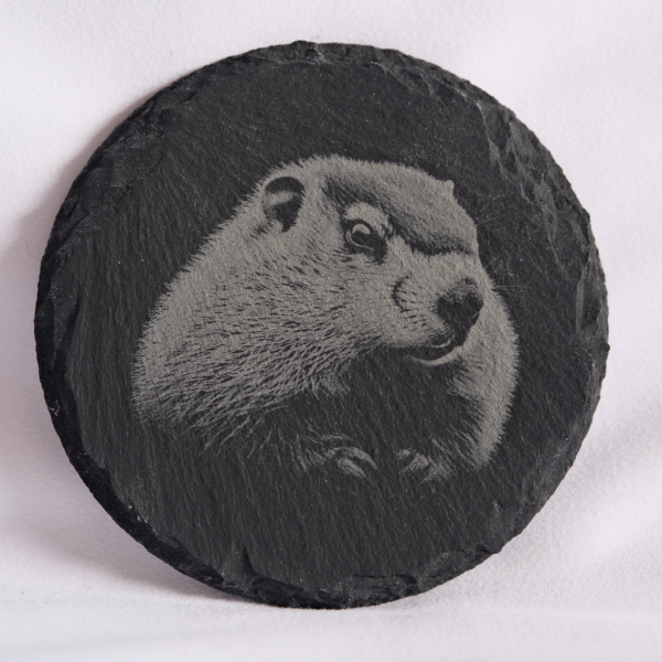 Dessous de verre - Marmotte