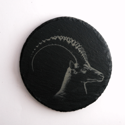 Dessous de verre - Bouquetin – Image 4